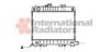 VAN WEZEL 06002042 Radiator, engine cooling